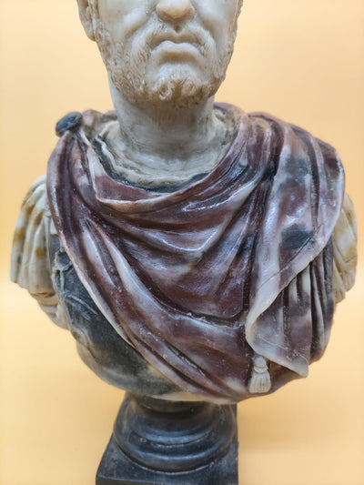 Detalle del rostro del busto de Caracalla en polvo de mármol